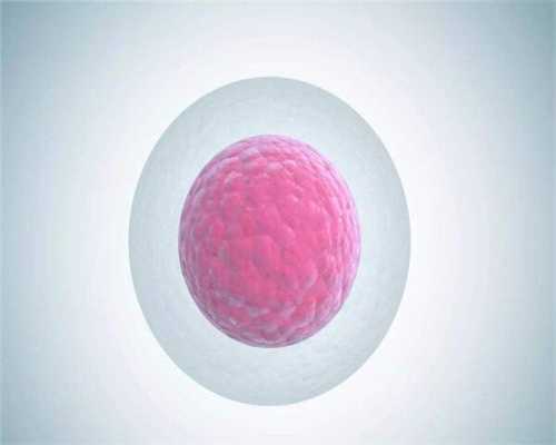 上海供卵试管包成功，上海试管捐卵供卵机构