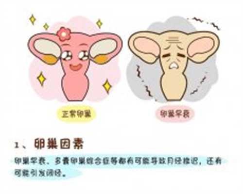 2024上海青浦区再生育准生证办理流程二胎妈妈们得看看