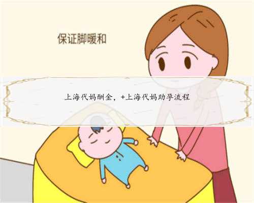 上海代妈酬金， 上海代妈助孕流程