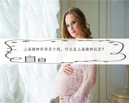 上海借卵怀孕多少钱，什么是