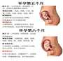 上海中国代怀代生哪里厉害 上海中国代怀代生哪家医院