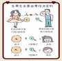 先天性无子宫、幼稚子宫与试管助孕：代怀生子与辅助生殖方案解析